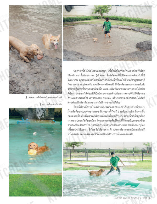 Kitchen & Home ฉบับที่ 228 สิงหาคม 2568 - Image 2
